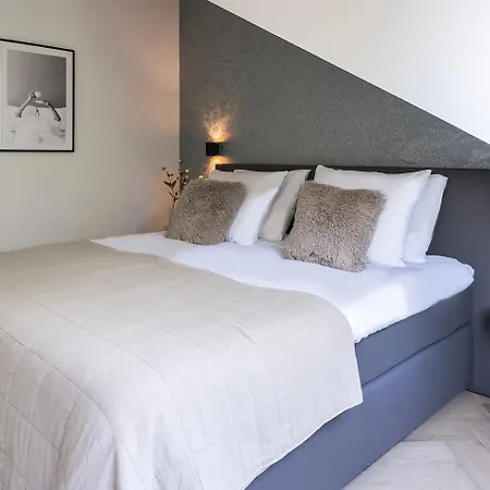 Newly Renovated Xl Center דירה *