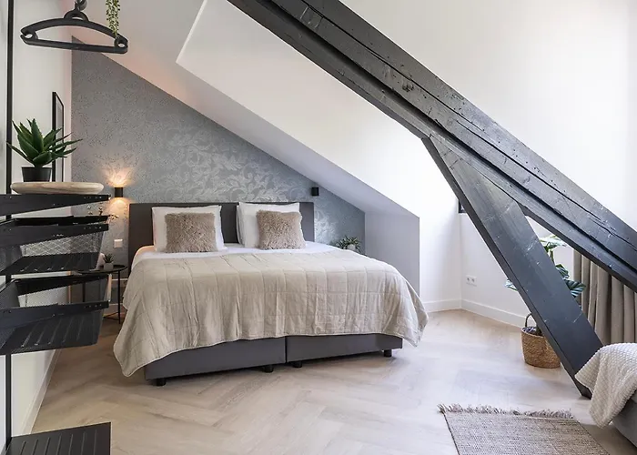 Newly Renovated Xl Center Nimega