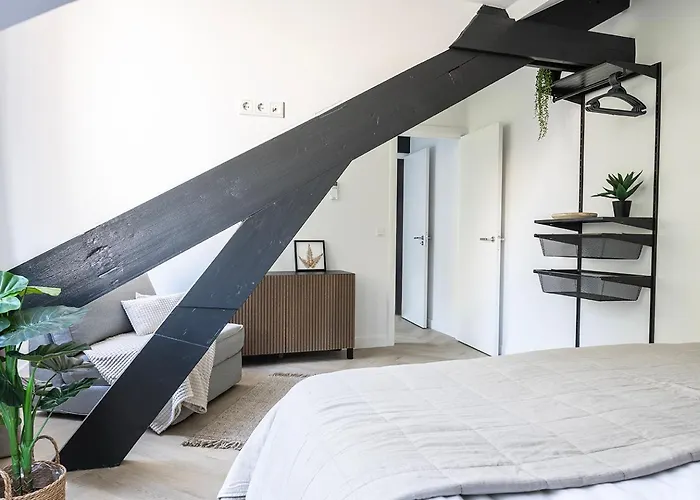 Newly Renovated Xl Center